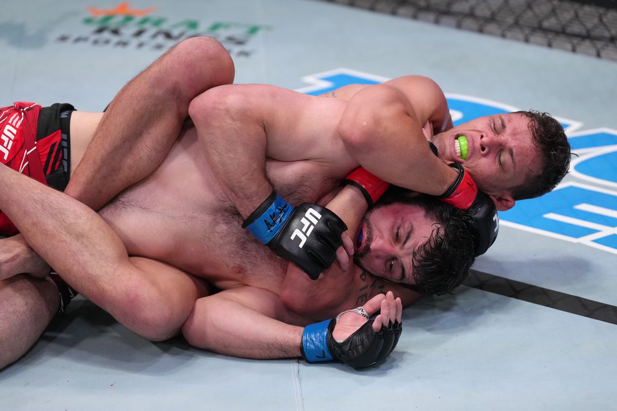 UFC Fight Night: Борральо против Омаргаджиева